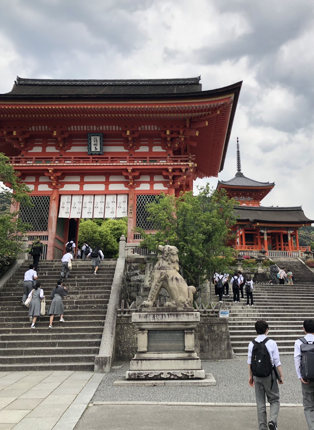 京都三大門から青もみじに浸る！